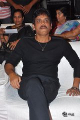 Sailaja Reddy Alludu Movie Pre Release Event Photos